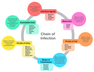 An indication of the parts of the chain of infection as a circle.