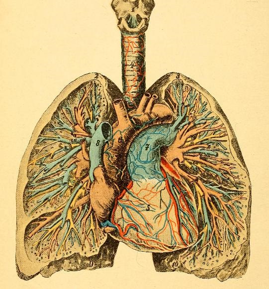 Module 2 – Introduction to the Patient – Caregiving for the Human ...