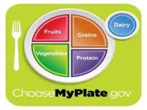 Plate where about 1/4 is fruits, 1/4 is vegetables, roughly 1/4 is grains, and slightly less than 1/4 is protein. Dairy is represented as a small side dish.