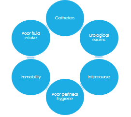 Six circles containing some causes of urinary tract infections: catheters, poor fluid intake, immobility, poor perineal hygiene, intercourse, urological exams