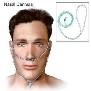 A depiction of a nasal cannula attached to a person's face. Tubing enters through the nose, and is held in place by a tie beneath the chin.